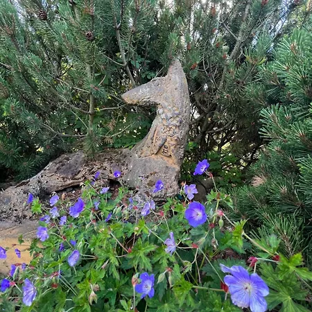 Arduina, Wintergarten&saunahaus, Naturpark Hohes Venn- Eifel Дом отдыха *