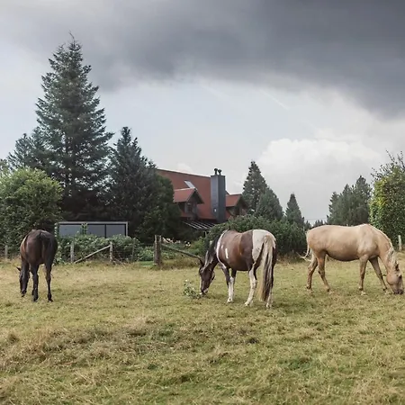 Arduina, Wintergarten&saunahaus, Naturpark Hohes Venn- Eifel Holiday home Hellenthal