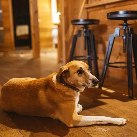 Дом отдыха Arduina, Wintergarten&saunahaus, Naturpark Hohes Venn- Eifel