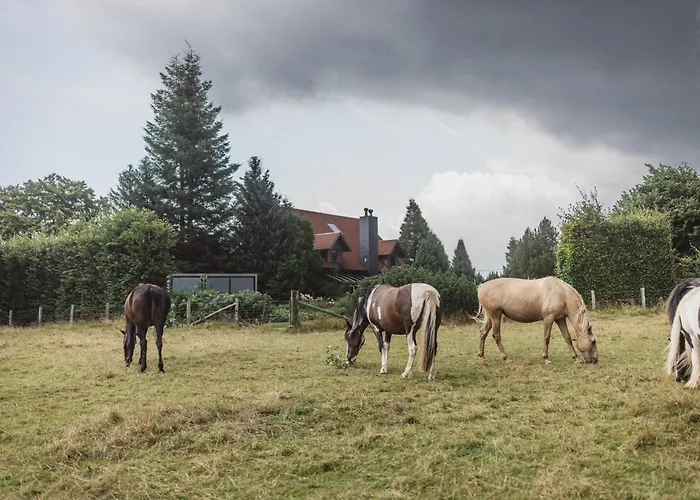 Arduina, Wintergarten&saunahaus, Naturpark Hohes Venn- Eifel Nyaraló Hellenthal