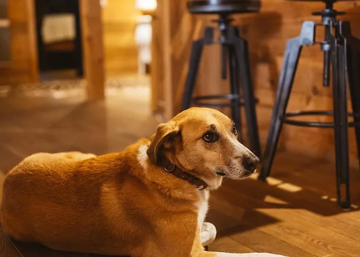 Vakantiehuis Arduina, Wintergarten&saunahaus, Naturpark Hohes Venn- Eifel