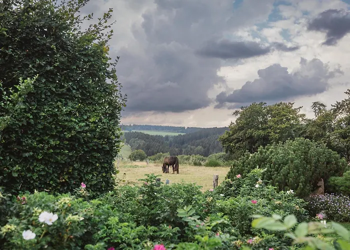 Vakantiehuis Arduina, Wintergarten&saunahaus, Naturpark Hohes Venn- Eifel *
